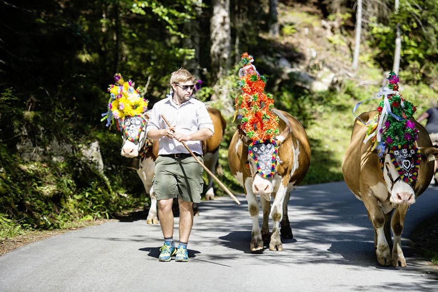 bauernherbst-unken.jpg