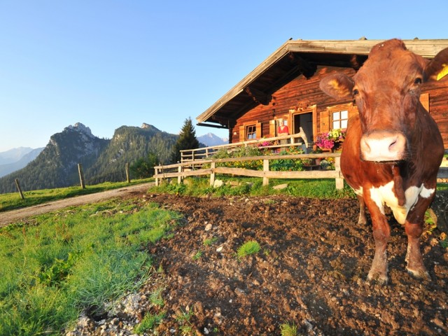 Götzbauernhof